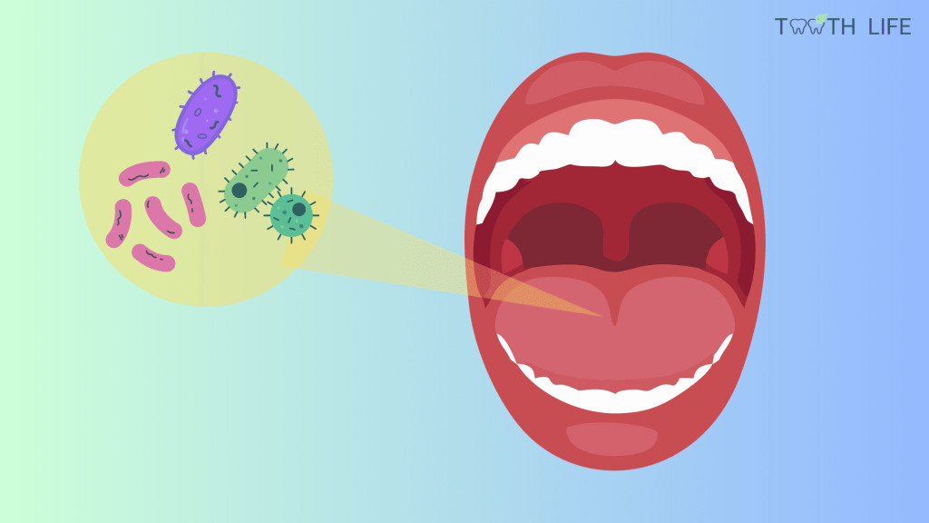 Oral bacteria